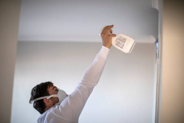 Best Mold Cleaning Services  in Forest Hills, TN