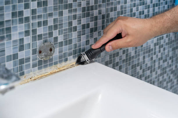 Certified Mold Removal in Forest Hills, TN